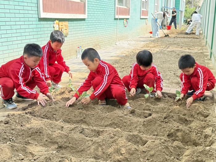幼儿种植.jpg